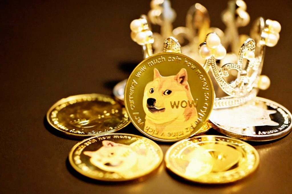 Doge coin 1.jpeg