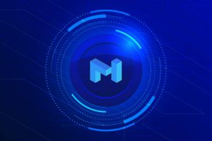 Matic token polygon.jpeg