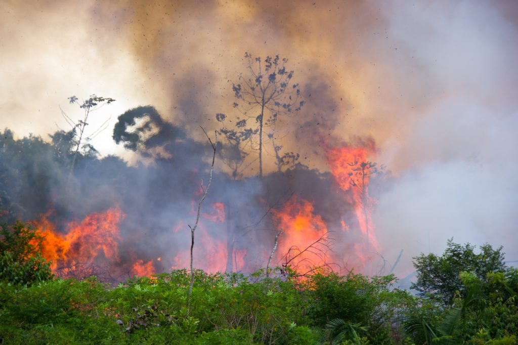 Queimas de 1,2% de lunc pode ser extinta