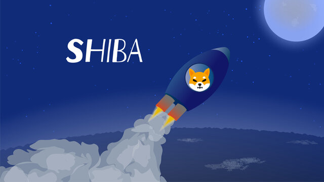 Shiba coin.jpeg