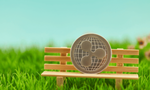 Untitled design 1 1000x600.png