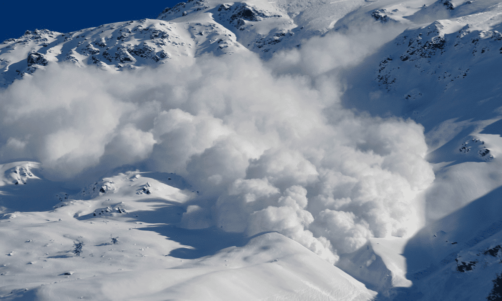 Untitled design 13 1000x600.png