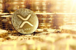 Xrp whales are accumulating as their total supply hits a 2 month high.jpeg