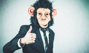Ape 2710658 1280 1000x600.jpg