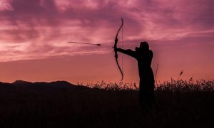 Archer 2345211 1280 1000x600.jpg
