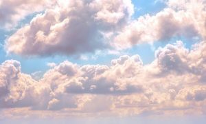 Billy huynh v9bnfmcykbg unsplash 1000x600.jpg