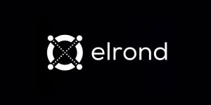 Elrond.jpeg