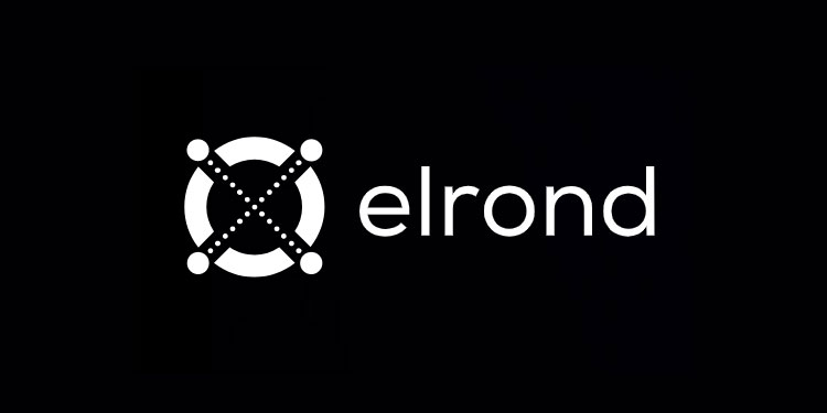 Elrond.jpeg