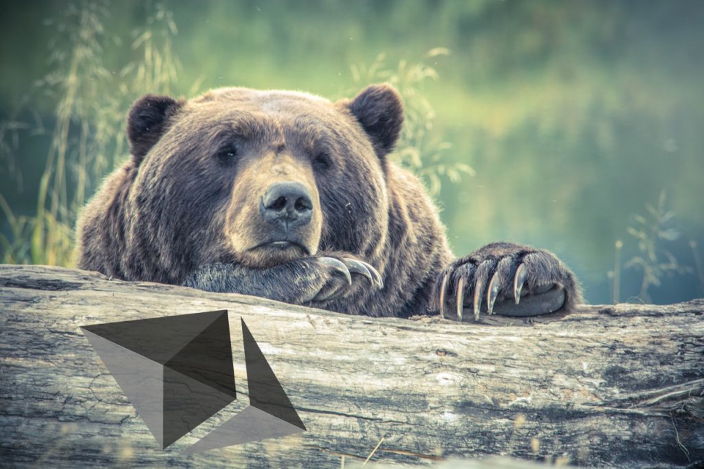 Ethereum bear.jpeg
