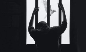 Hasan almasi airbgpafi74 unsplash 1000x600.jpg
