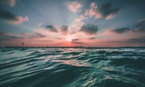 Joseph barrientos oql0evyd n8 unsplash 1000x600.jpg