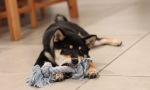 Kobi kadosh q6 ccxcnfbc unsplash 1000x600.jpg