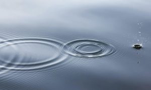 Linus nylund q5qsplunzmm unsplash 1000x600.jpg