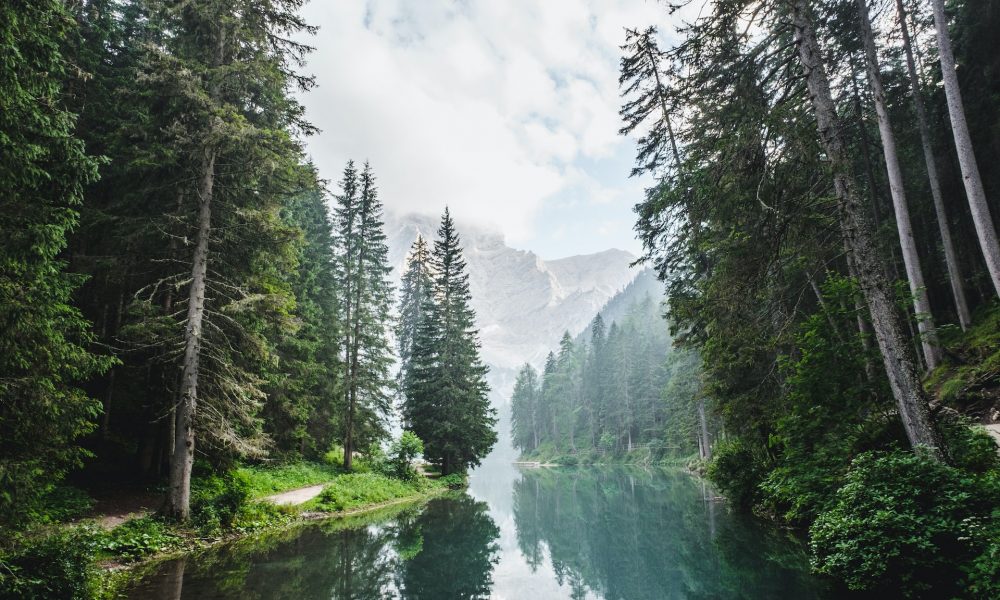 Luca bravo eskw2ayo2as unsplash 1000x600.jpg