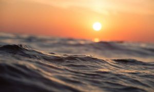 Ocean 1867285 1280 1000x600.jpg