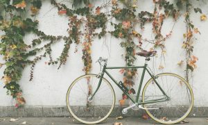 Robin popa bf4ab0gpaps unsplash 1000x600.jpg
