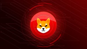 Shiba.jpeg
