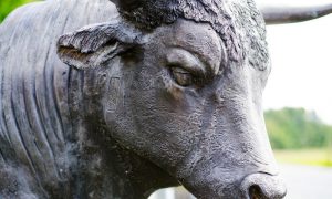 Statue 2905489 1280 2 1000x600.jpg