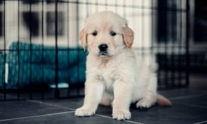 Vander films n8wseb4lgqo unsplash 1000x600.jpg
