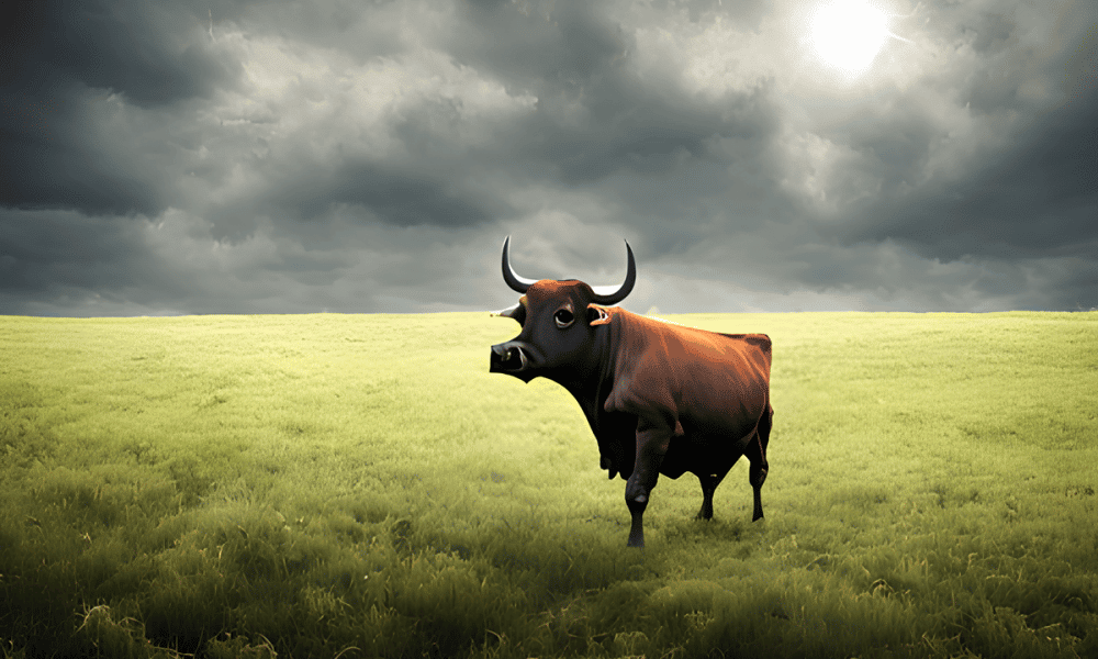 Avax 1 1000x600.png