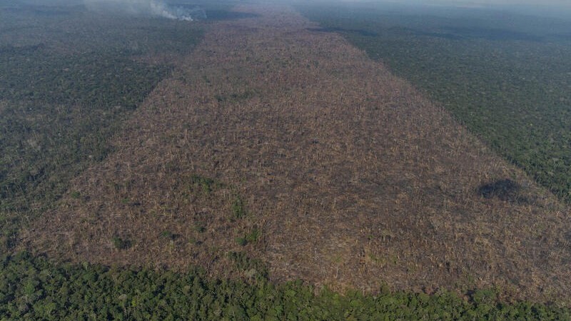 Desmatamento amazonia.jpg