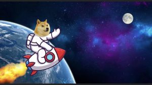 Doge coin1.jpeg