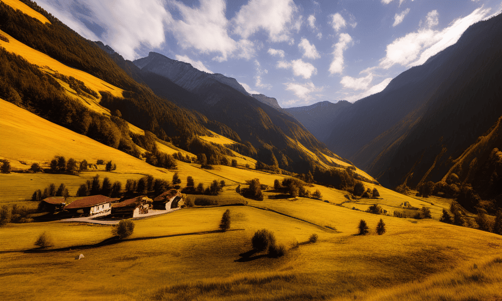 Image 1 2 1000x600.png