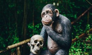 Ape 1000x600.jpg