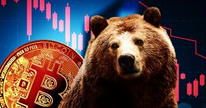 Bear market research.jpg