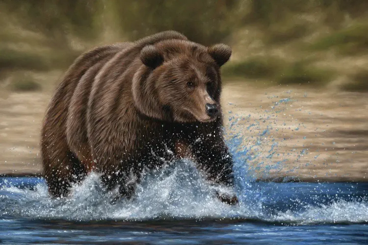 Btc bear1.png