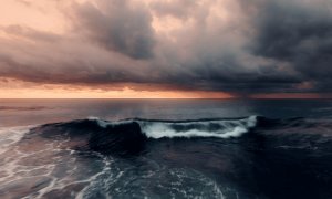 Po 2022 11 14t145448.624 1000x600.png