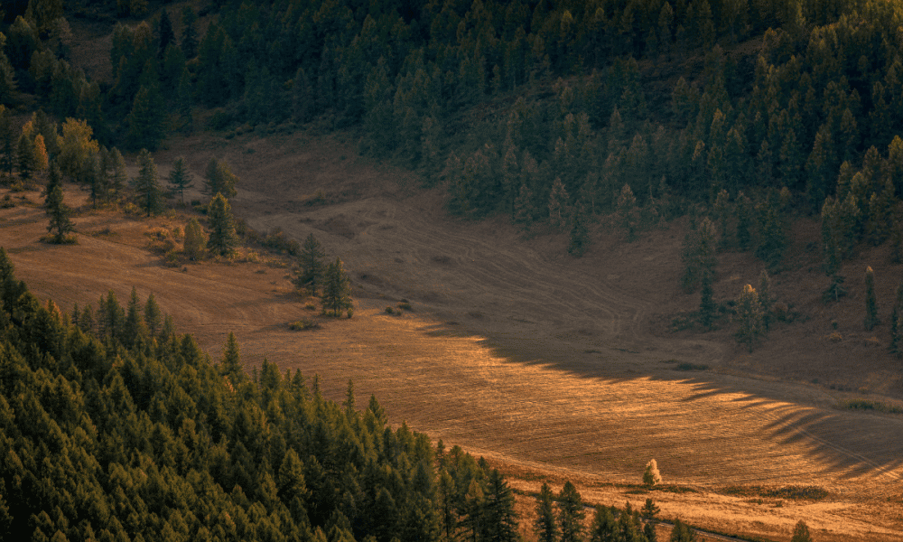 Po 2022 11 15t090401.921 1000x600.png