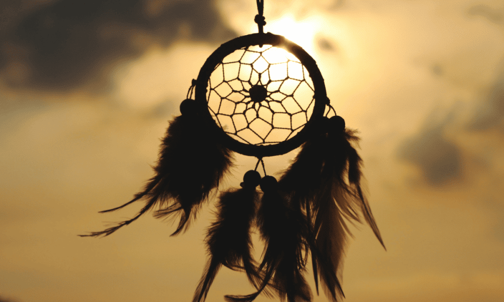 Po 2022 11 15t124106.063 1000x600.png