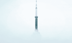 Po 2022 11 29t102754.625 1000x600.png