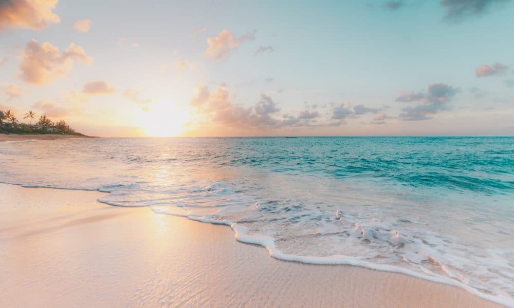 Sean oulashin kmn4veeepr8 unsplash 1000x600.jpg