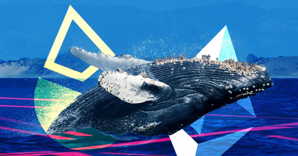 Staked ethereum whale.jpg