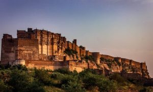 Yash raut gabguyy0xkg unsplash 1000x600.jpg