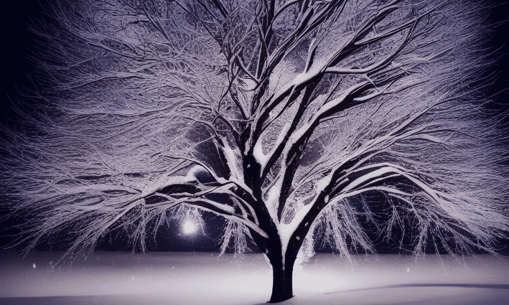Bnb 4 1000x600.png