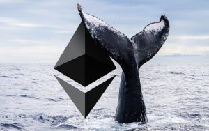 Ethereum whales.jpeg