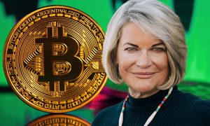 Senator cynthia lummis.jpeg
