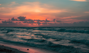 Po 2022 12 02t103943.691 1000x600.png