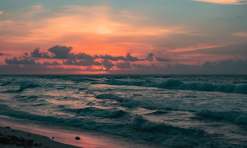 Po 2022 12 02t103943.691 1000x600.png