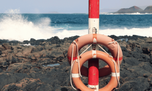 Po 2022 12 10t142635.458 1000x600.png