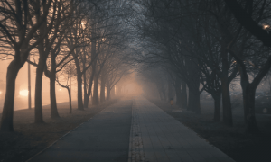 Po 2022 12 18t111025.349 1000x600.png