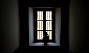 Po 2022 12 19t093406.755 1000x600.png