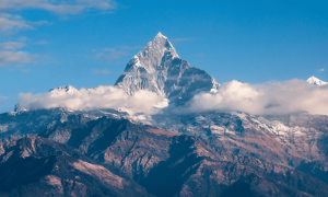 Po 2022 12 24t145136.424 1000x600.png