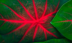 Shahadat rahman q6q8ech4llw unsplash 1000x600.jpg