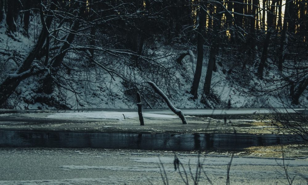 Winter 1000x600.jpg