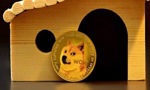 Doge 1000x600.jpg
