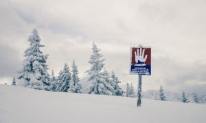 Alps 605287 1920 1000x600.jpg
